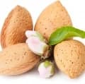 Candied Almond